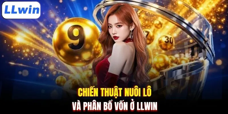 Chiến thuật nuôi lô và phân bổ vốn ở LLWIN
