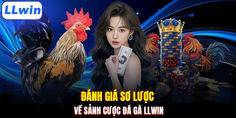 Đánh giá sơ lược về sảnh cược đá gà LLWIN
