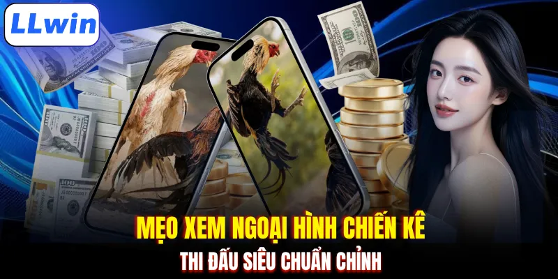 Mẹo xem ngoại hình chiến kê thi đấu siêu chuẩn chỉnh